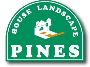 House Land Scape PINES nEX hXP[v pCY