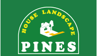 Pines House Landscape